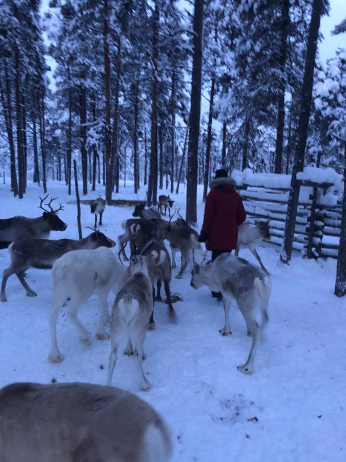 Ahkula House Hotel Lemmenjoki Eksteriør billede